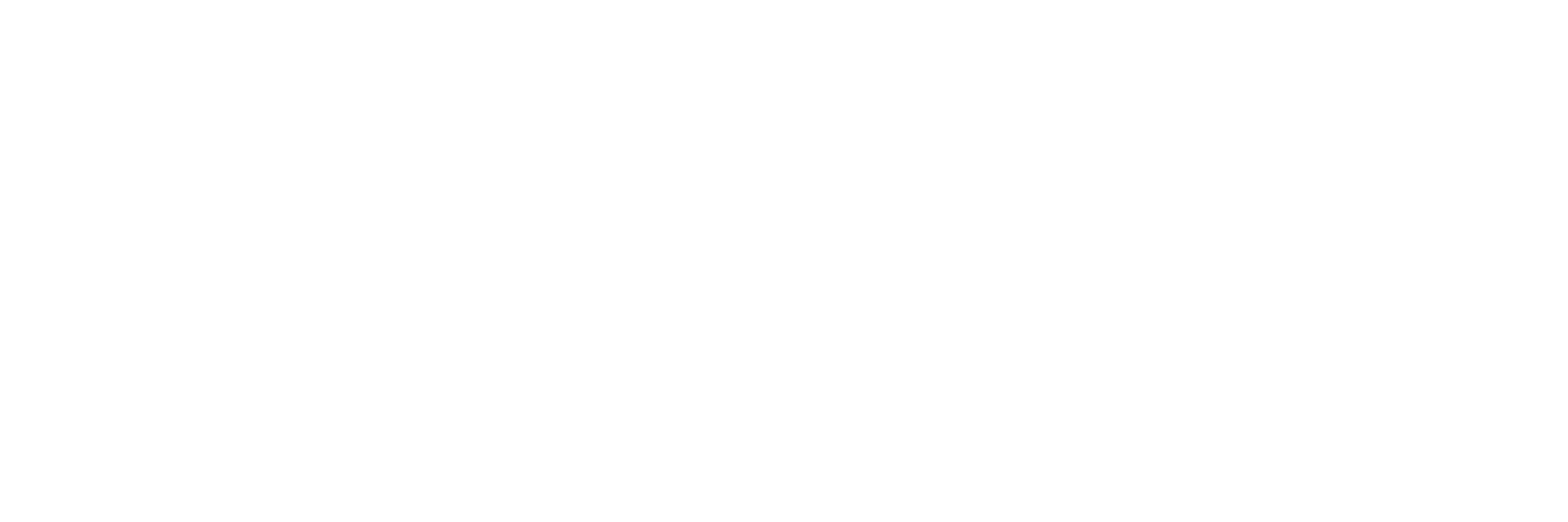 Česká asociace umělé inteligence